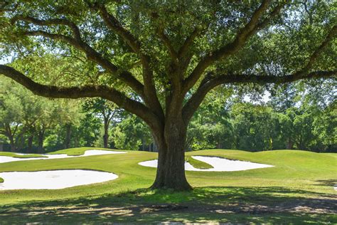 Oakbourne Country Club — PJKoenig Golf Photography