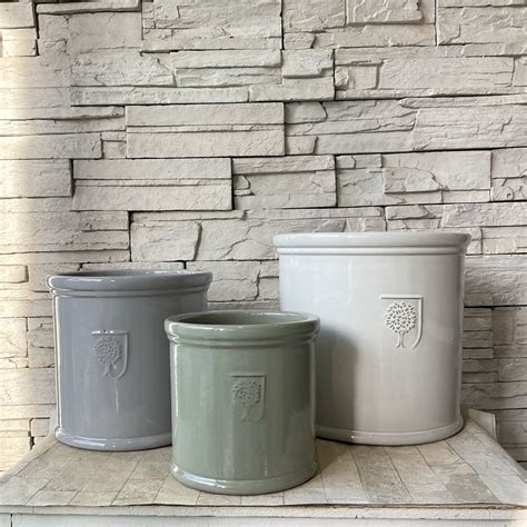 RHS ミルズ LLサイズ | 橋本種苗園