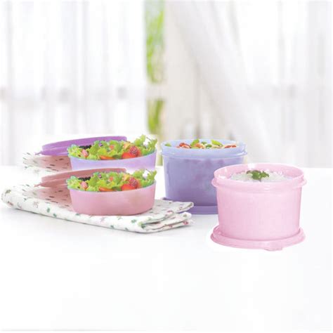 Fridge Storage Containers – Tupperware India Pvt Ltd