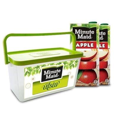 Minute Maid Fruit Juice - Apple, 1L Tetra Pack : Amazon.in: Grocery ...