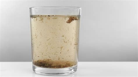 Mucus In Stool Human