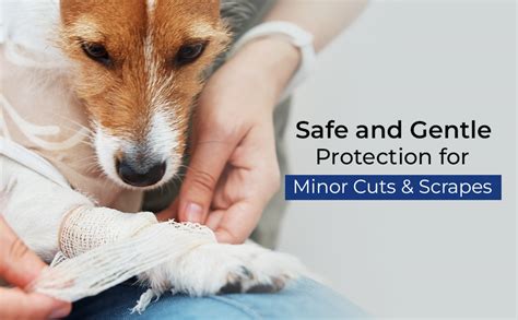 Aziqine Animal Wound Healing Silver Gel 50g | Safe & Non-Toxic Wound ...