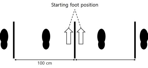 Image result for Side Step Test Cbpo