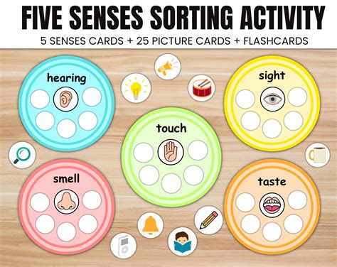 Five Senses Sorting Activity: Preschool Learning Printable (digital ...