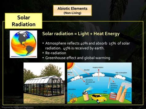 Environment 的图像结果