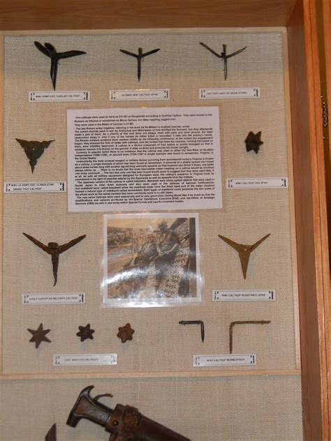 Image result for Militaria Collection