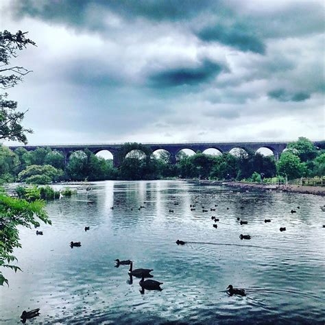 REDDISH VALE COUNTRY PARK - All You SHOULD Know Before Going 2026 (with ...