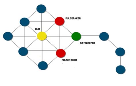 An Ultrasound of Hidden Networks - BusinessToday