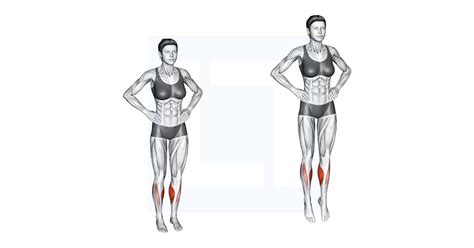 Image result for Hopping Ladder