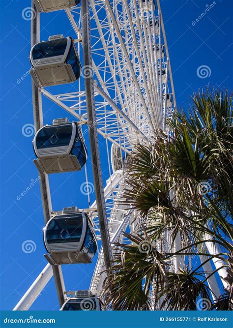 The Sky Wheel Ferris Wheel at Myrtle Beach Seen from Below with Palm ...