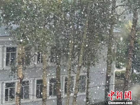 秋未远雪已至 “中国最冷小镇”迎来今秋首雪 - 社会百态 - 华声新闻 - 华声在线