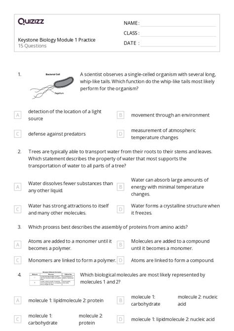 50+ plant cell diagram worksheets for 12th Class on Quizizz | Free ...