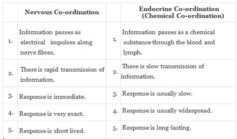 Endocrine System, Nervous System & Hormonal Reactions - Notes | Study ...