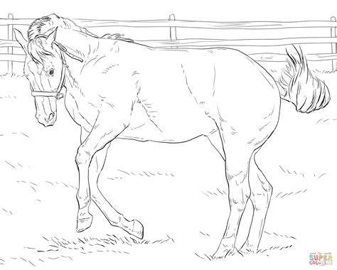 Free Printable Realistic Horse Coloring Pages at GetColorings.com ...
