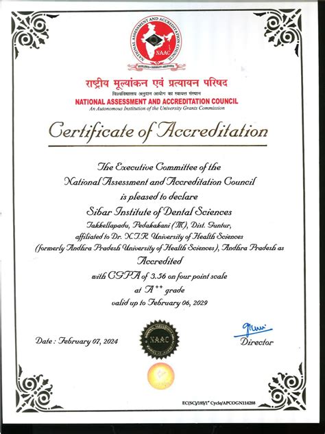 Exploring the Thrills of Online Gambling: A Personal Journey At Sri ...