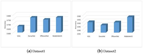 Boosting COVID-19 Image Classification Using MobileNetV3 and Aquila ...