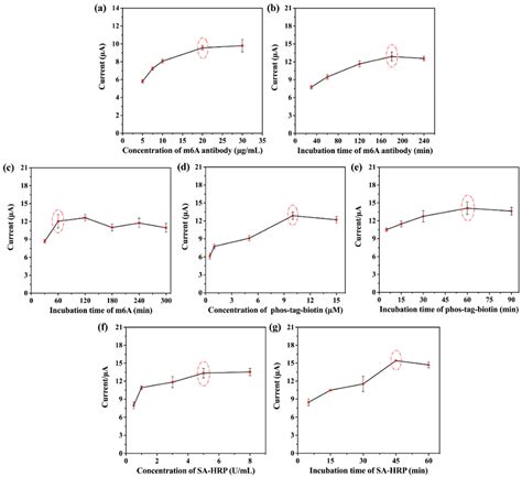 β-Cyclodextrin-Modified Laser-Induced Graphene Electrode for Detection ...