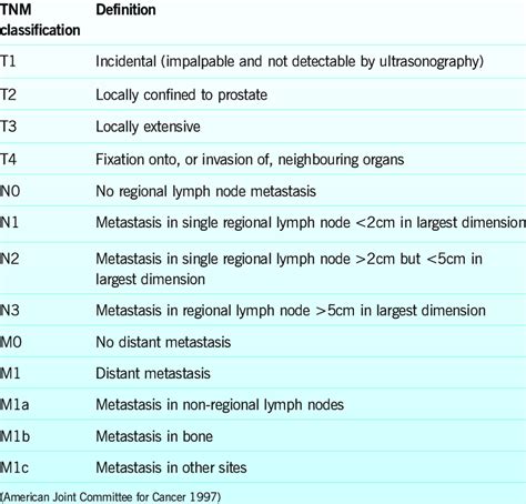 Resultado de imagen de prostate+cancer+stages
