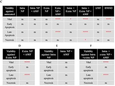 Comparing the Effects of Intracellular and Extracellular Magnetic ...