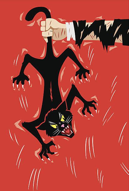 Monty Python Cat Beating 的图像结果