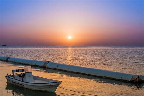 AL KHOR CAMP - GLAMPING RESORT (Qatar) - Campground Reviews & Photos ...