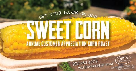 Customer Appreciation Corn Roast ??, Willowtree Farm (975 Regional Road ...