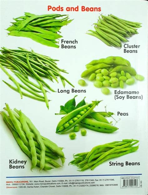 My First Board Book of Vegetables - Wipe & Clean – Books and You