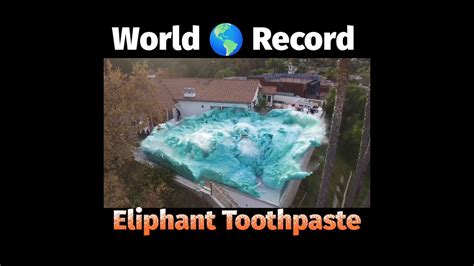Image result for Elephant Toothpaste World Record
