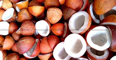 5% of GST applicable to Supply of Dried Coconut by EMS COCO: AAR [Read ...