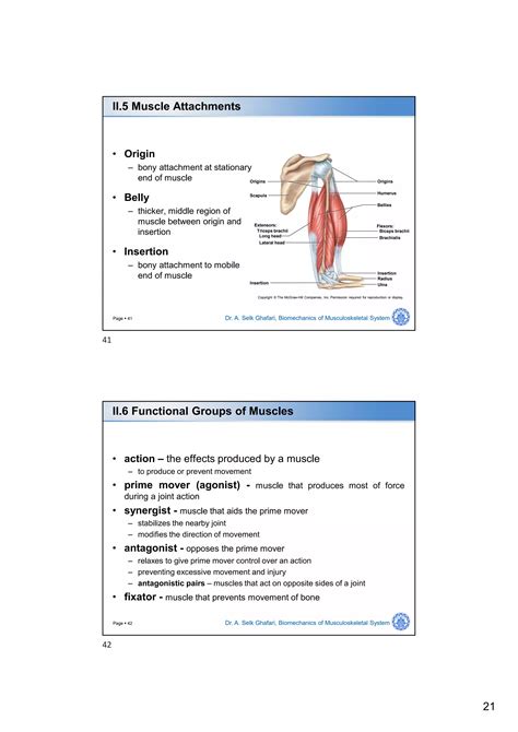 Dr. Ali Selk Ghafari: Biomechanics of Musculoskeletal System ...