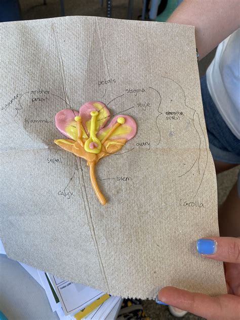 Jordan School District CTE on LinkedIn: Mountain Ridge High School ...