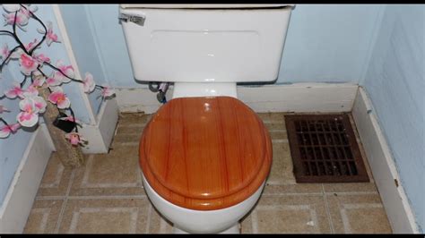 Image result for How to Unstop Commode