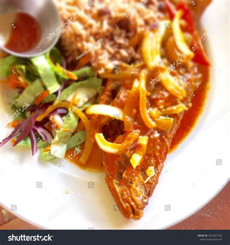 Image result for Caribbean Red Snapper