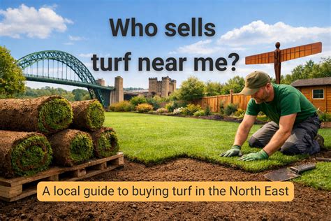 Who Sells Turf Near Me? | A Local Expert’s Answer for the North East ...