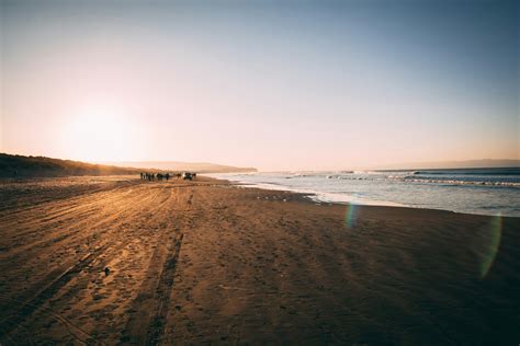 Accessible Beaches at Home and Afar