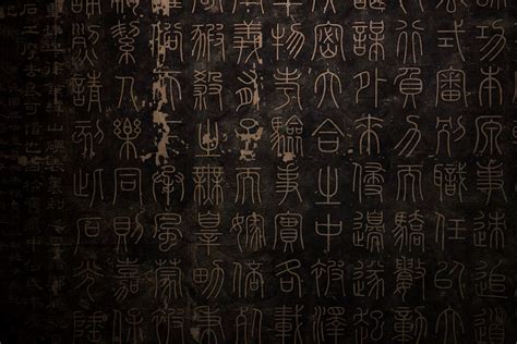 First Spoken Language 的图像结果