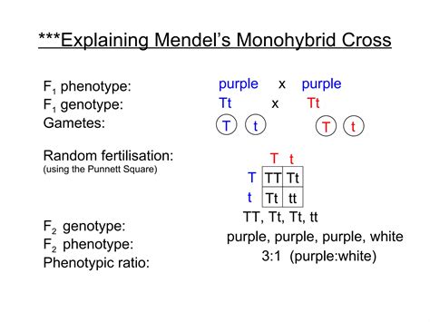 Chapter 19 Heredity Lesson 1 - Monohybrid Cross and Test Cross | PPT