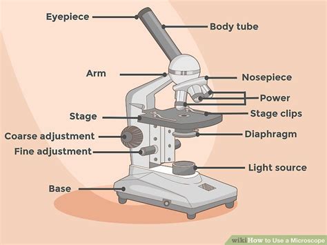 Image result for Step by Step How to Use a Microscope