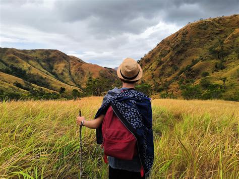 Script Fighting Secret Basement 的图像结果