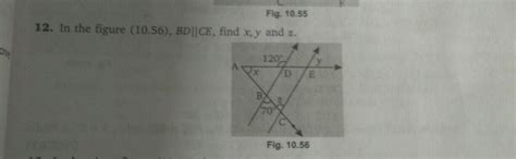in the given figure BD parallel CE find the value of x, y and z ...