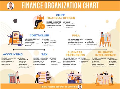 Finance Organization Chart 的图像结果