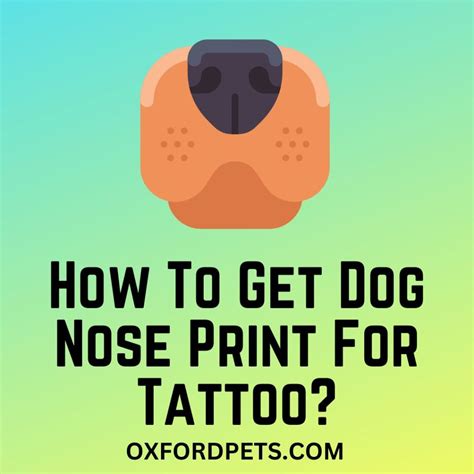 How To Make A Print Of Your Dog's Nose at Samuel Sargent blog