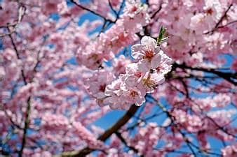 Image result for HTML Format for Text Generation