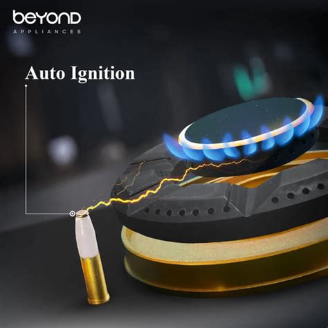 LPG vs PNG Compatible Stoves: Which Gas Connection Suits Your Indian H ...