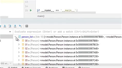 Image result for PyCharm Variable Window