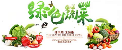 淘宝绿色蔬菜海报_素材中国sccnn.com