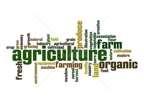 《唯恒农业：2020年国家现代农业产业园创建趋势分析》-农小蜂