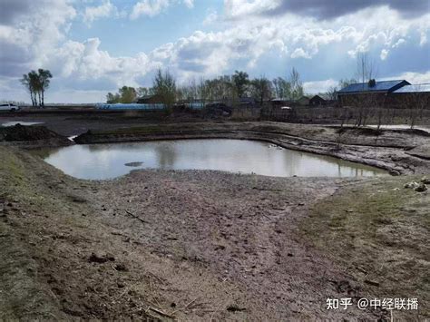 农村坑塘水污染治理与修复_精品案例_北京爱尔斯生态环境工程有限公司