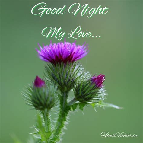 90 + Sweet, Beautiful & Lovely Romantic Good Night My Love Images with ...