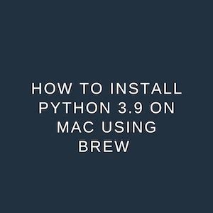 Install Python 3.9 的图像结果